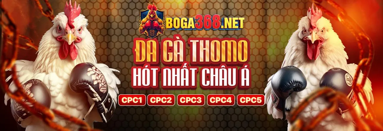 Sân đấu đá gà trực tuyến 6789eu